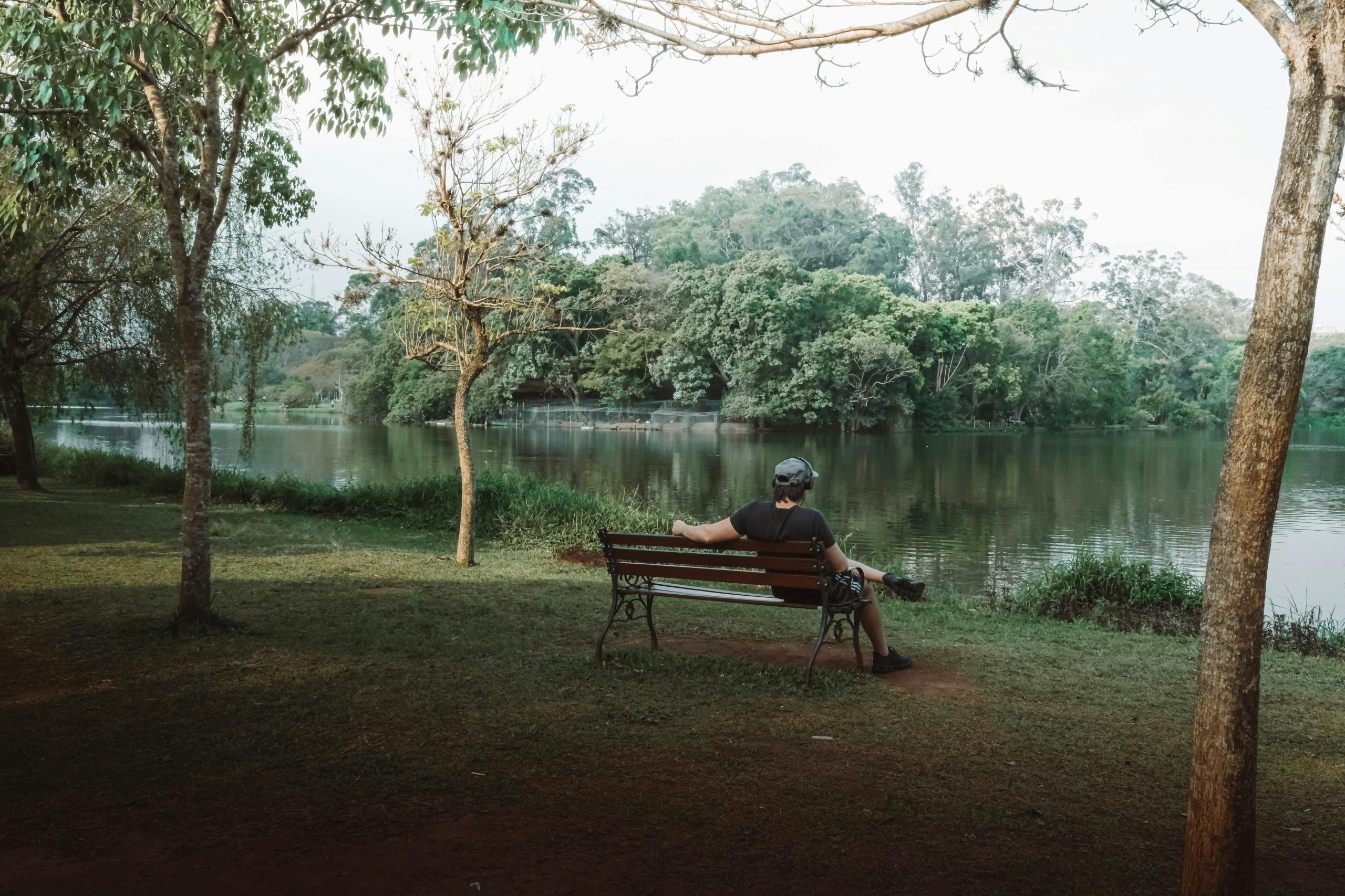 esquema de los principales permisos de residencia